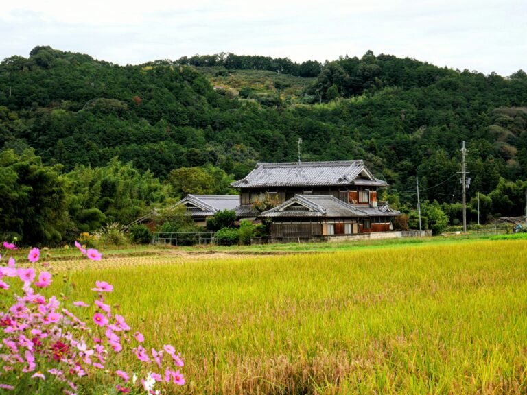 Understanding Japan’s agriculture intelligence