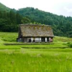 Japan’s quiet overhaul of farmland leasing: Chiiki Keikaku