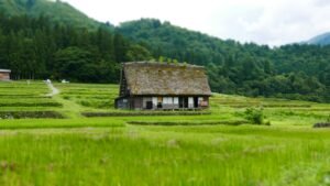 Japan’s quiet overhaul of farmland leasing: Chiiki Keikaku