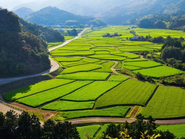 Japan farmland - Tashibu no Sho - Oita Prefecture