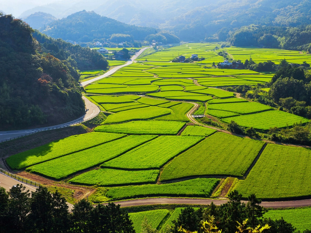 Japan farmland - Tashibu no Sho - Oita Prefecture