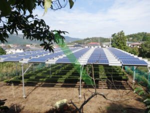 Solar Sharing: Japan’s FY2027 rule change opens a window for foreign investors