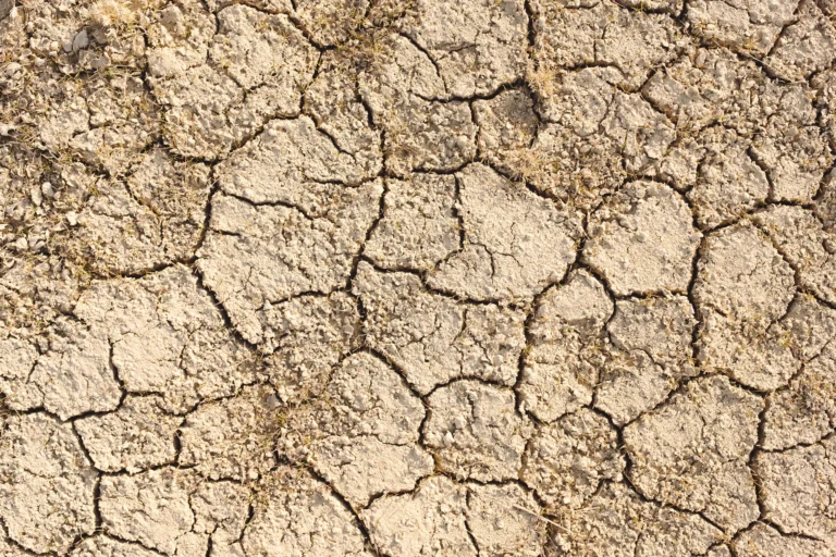 Cracked, drought-dried agricultural soil illustrating climate pressure on crop production.