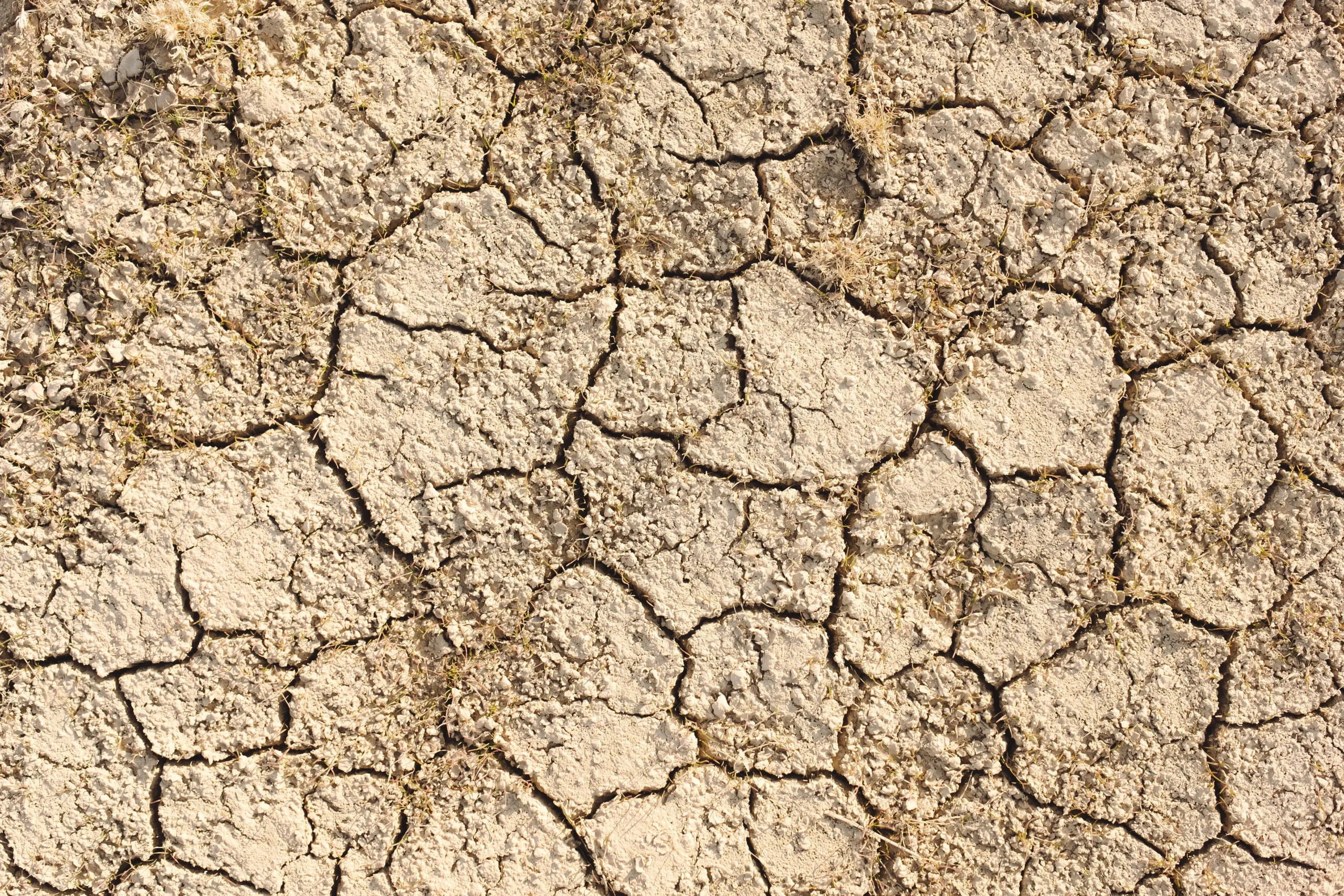 Cracked, drought-dried agricultural soil illustrating climate pressure on crop production.